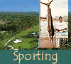 sporting events